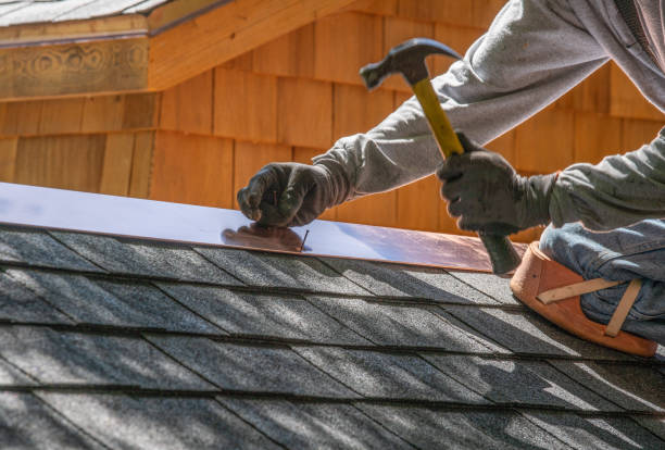 Best Steel Roofing  in Farmington, MN