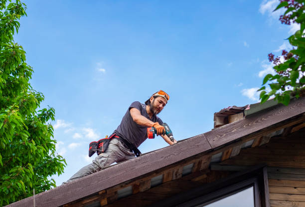 Best Roofing for New Construction  in Farmington, MN